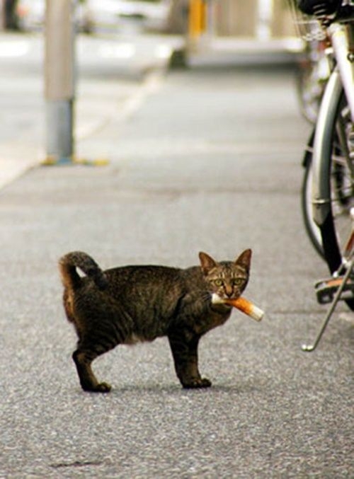 印象に残っている手土産