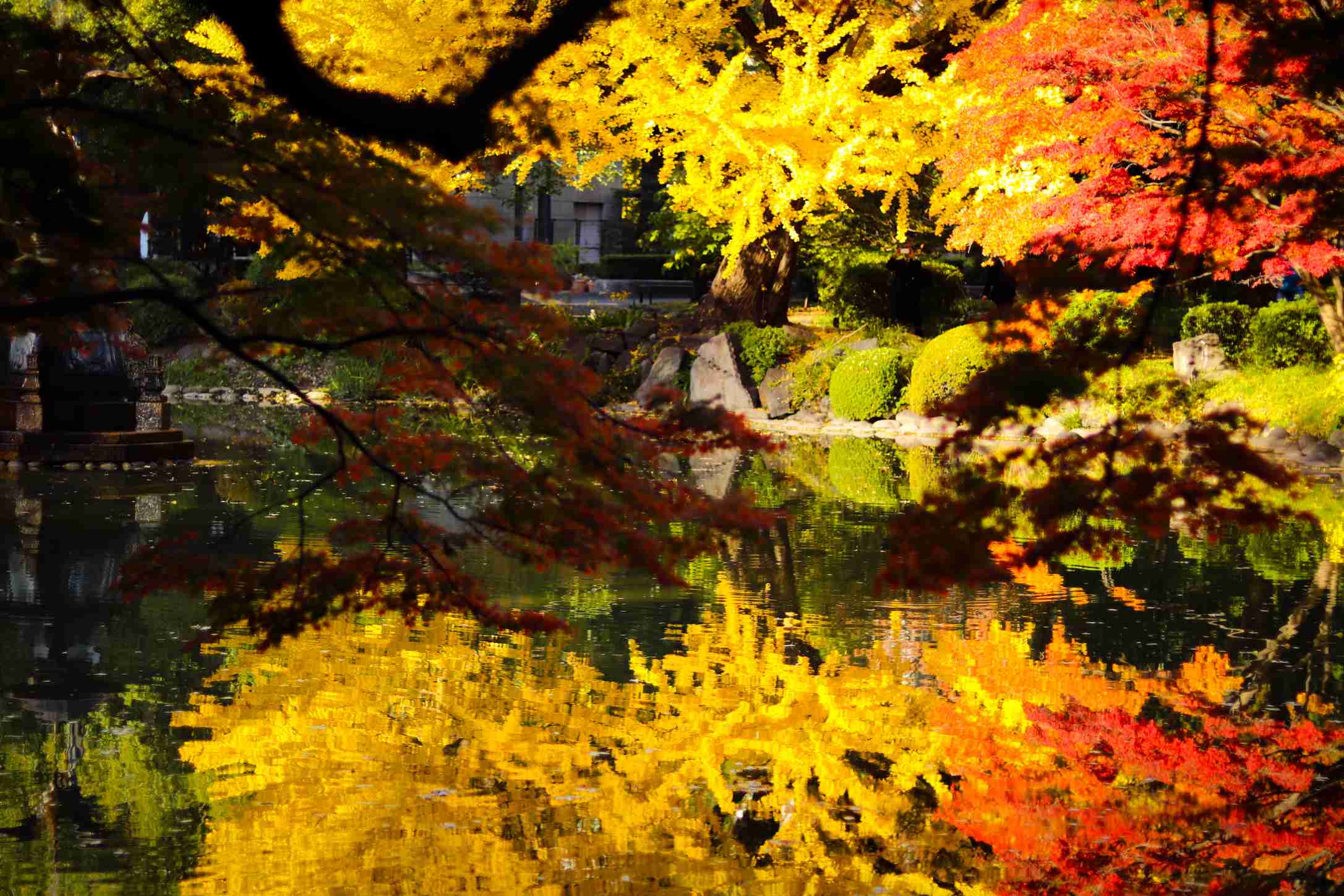 自分史上最高に良い写真が撮れたのを貼るトピ
