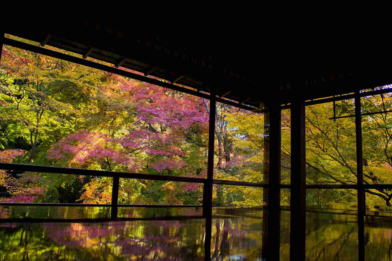 自分史上最高に良い写真が撮れたのを貼るトピ