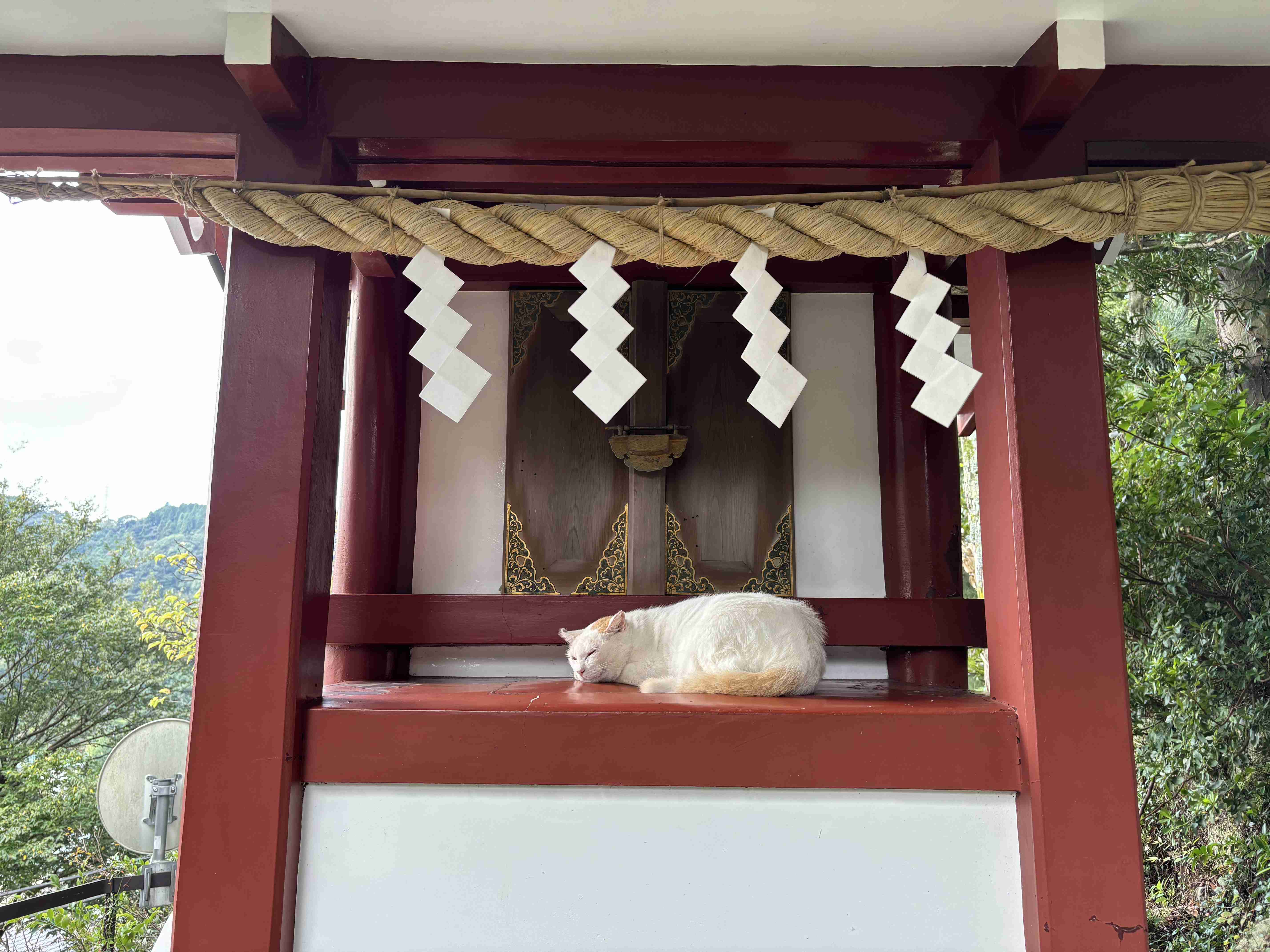 自分史上最高に良い写真が撮れたのを貼るトピ