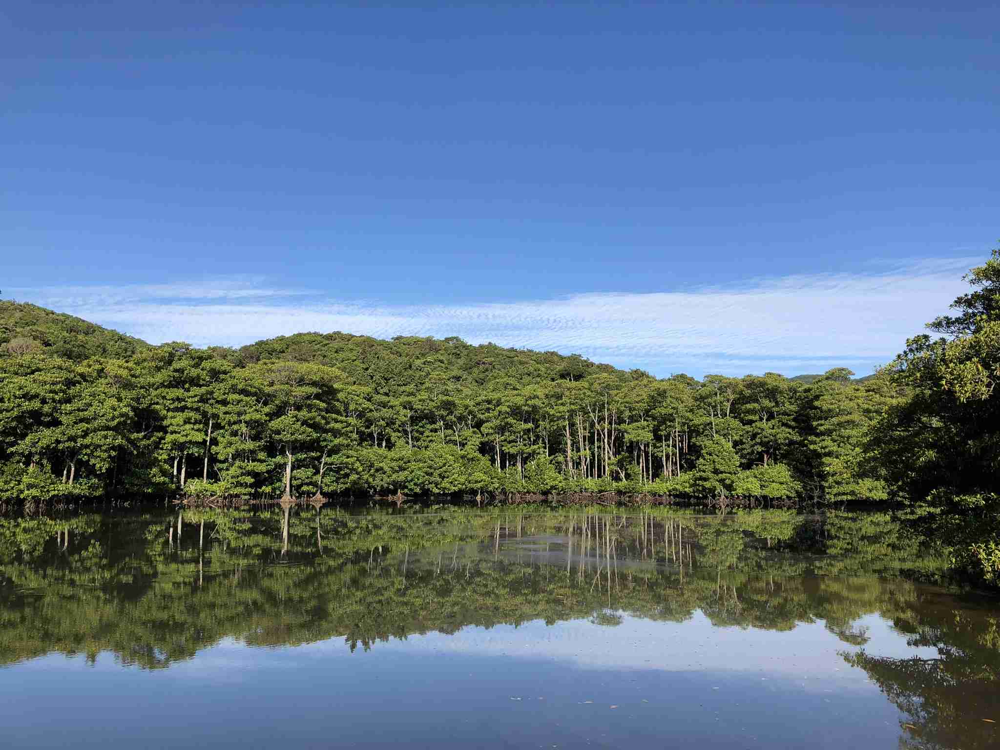 自分史上最高に良い写真が撮れたのを貼るトピ
