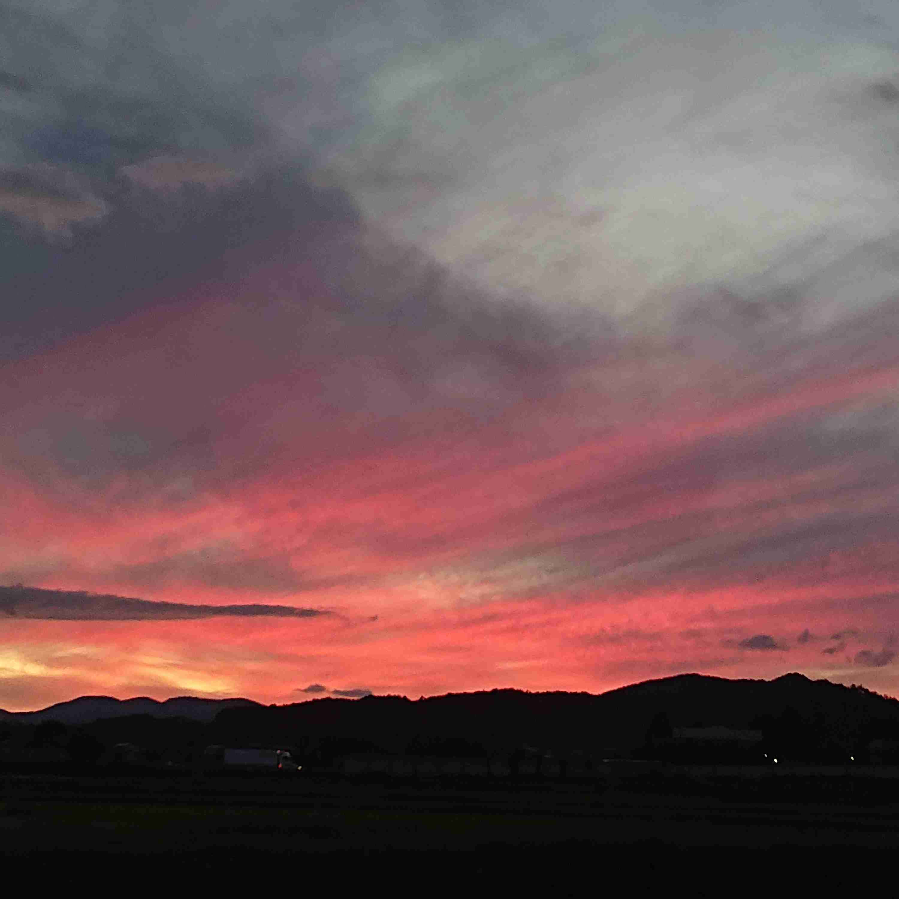 自分史上最高に良い写真が撮れたのを貼るトピ