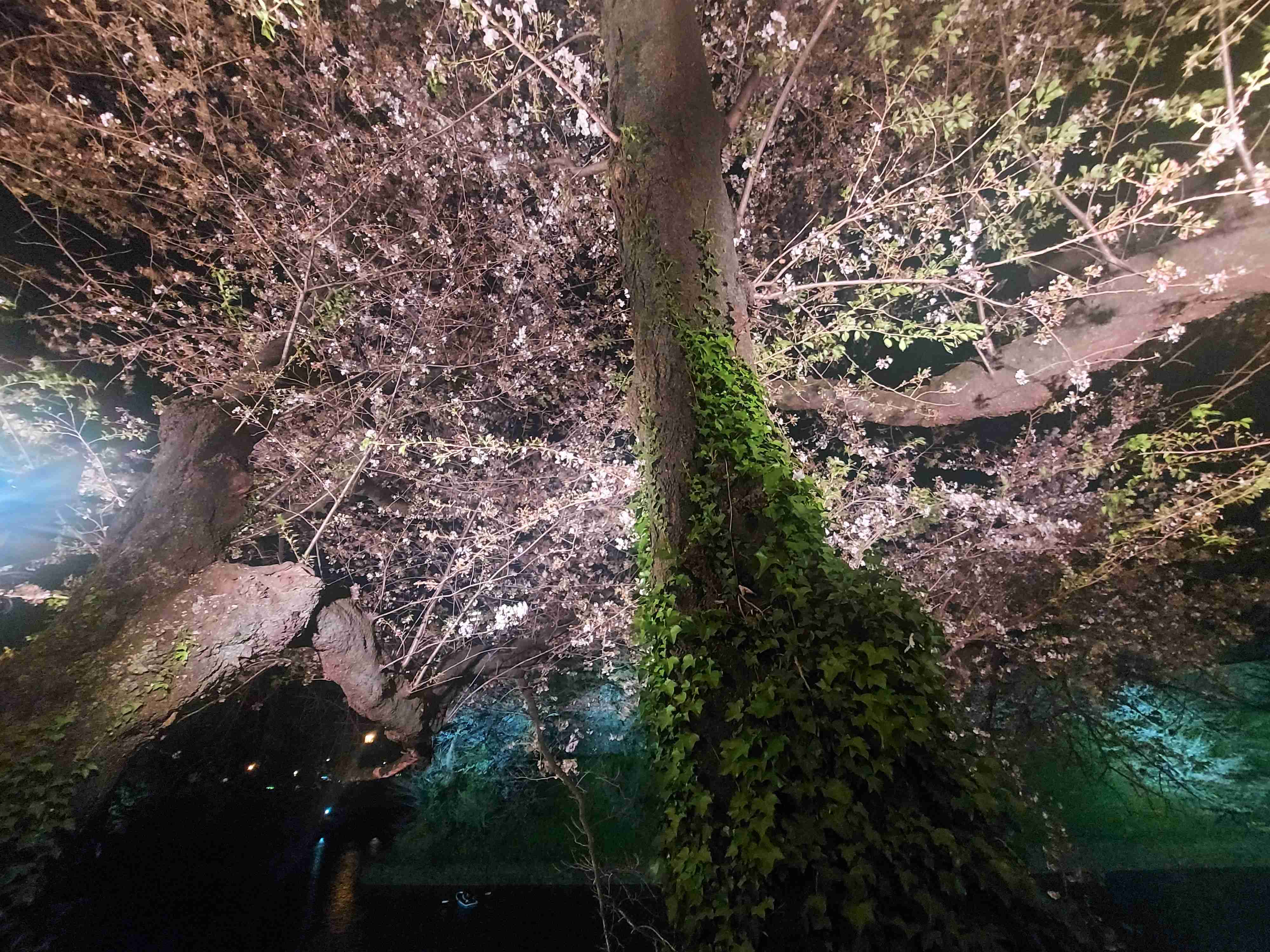 自分史上最高に良い写真が撮れたのを貼るトピ