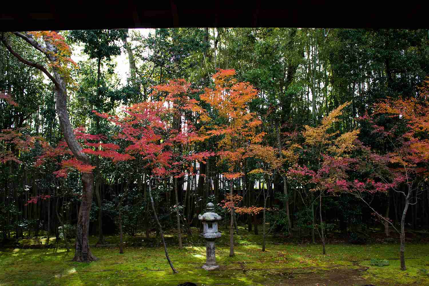 自分史上最高に良い写真が撮れたのを貼るトピ