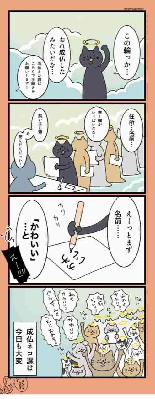 【画像】自分が可愛いことを自覚してそうな動物