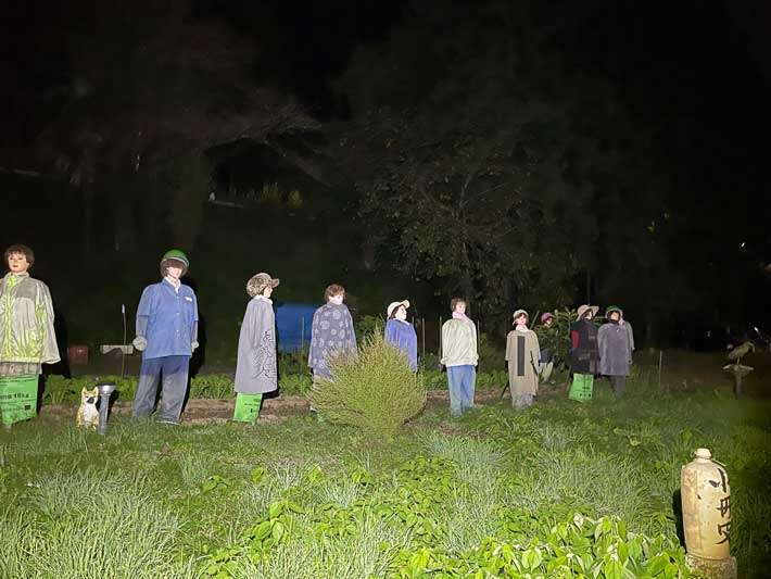【人間関係以外】田舎 ↔️ 都会 ビックリしたこと