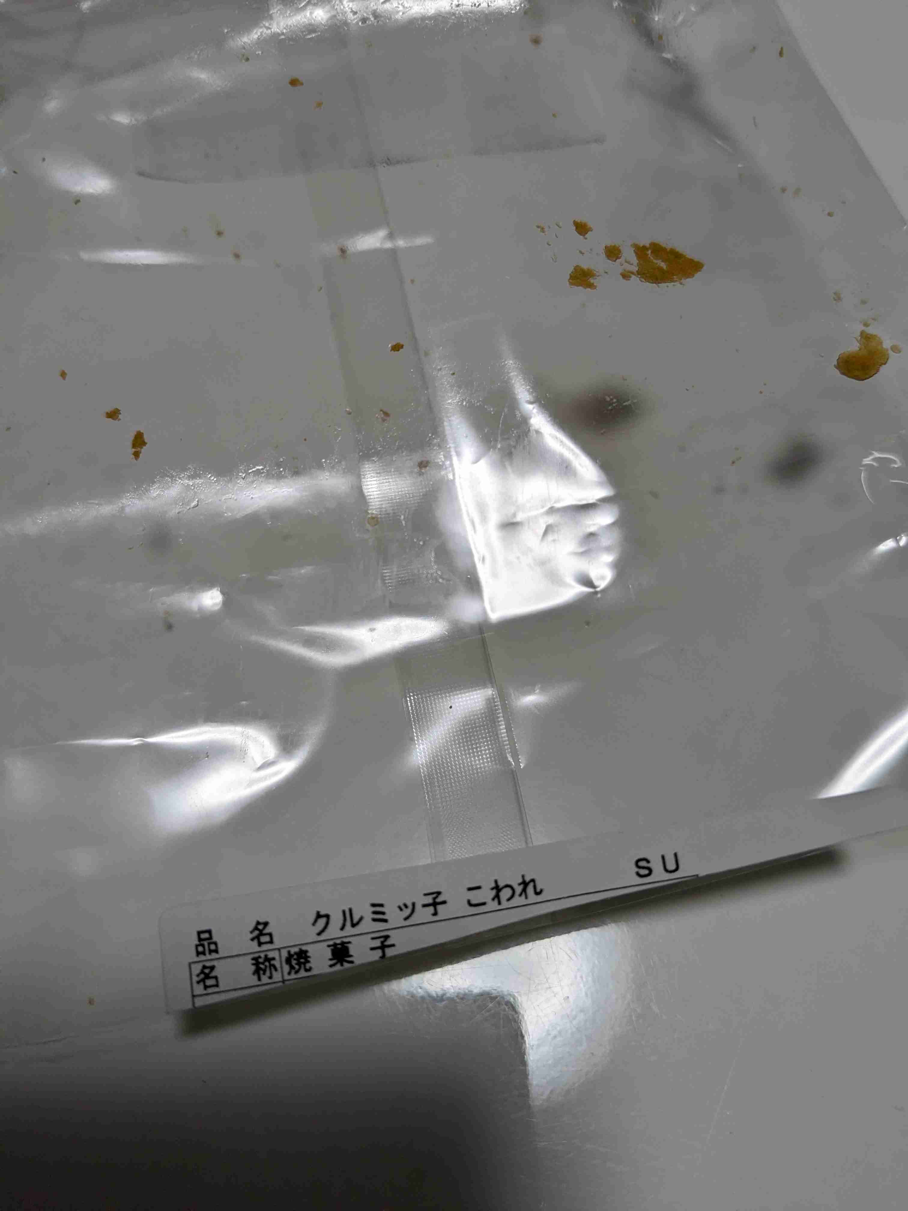 年末年始の我が家の情景を貼るトピpart2