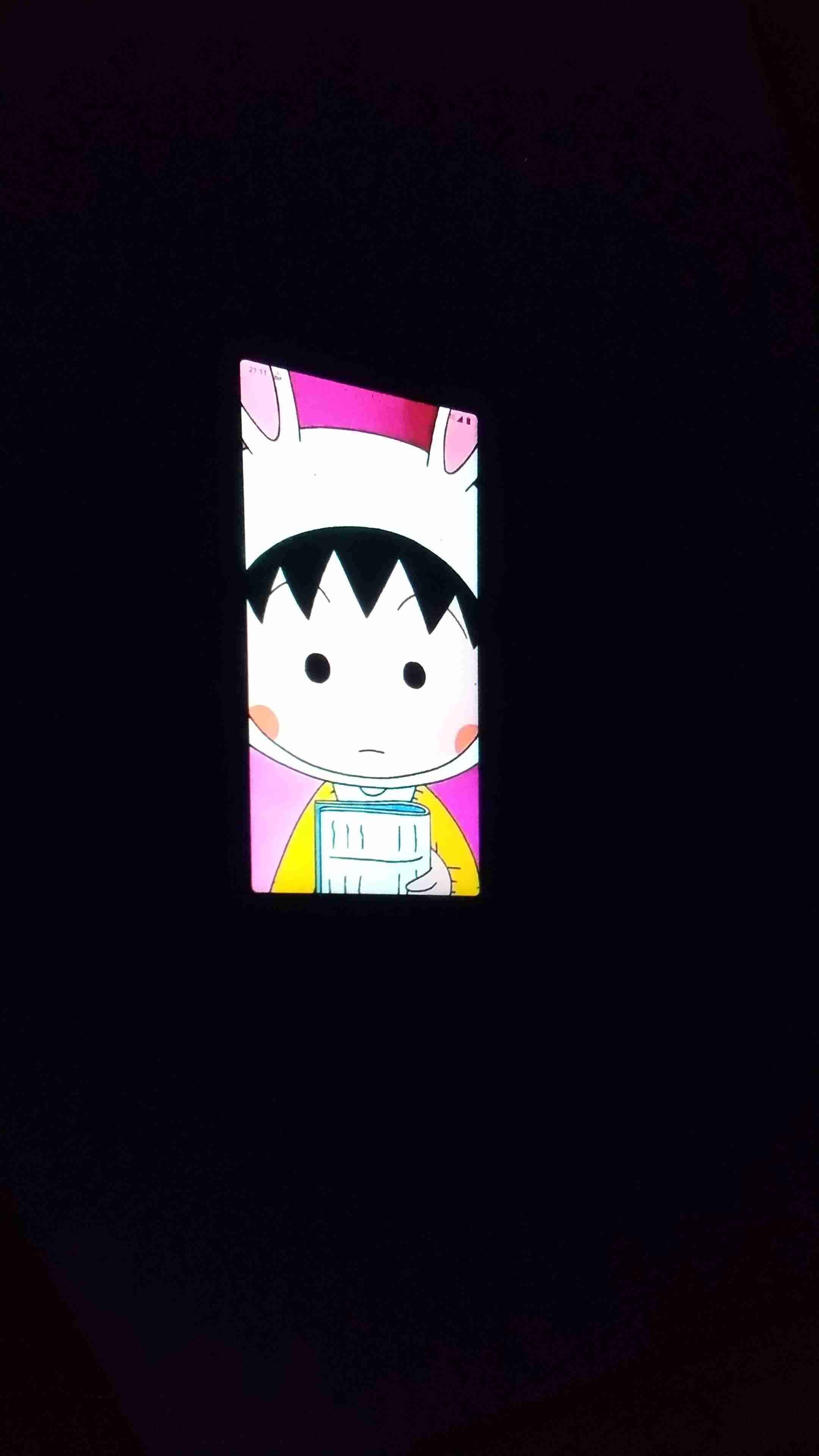 年末年始の我が家の情景を貼るトピpart2
