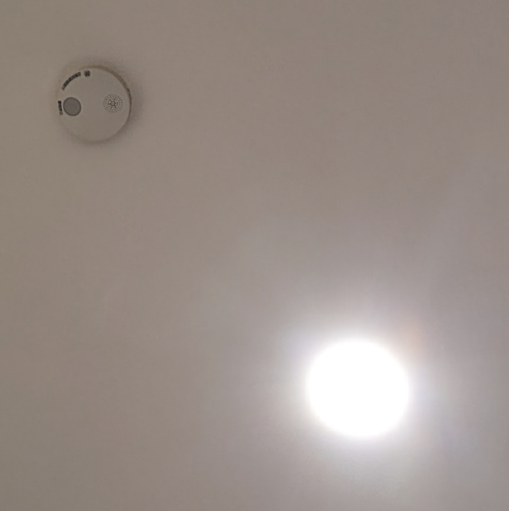 年末年始の我が家の情景を貼るトピpart2