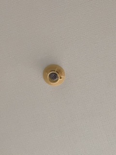 年末年始の我が家の情景を貼るトピpart2