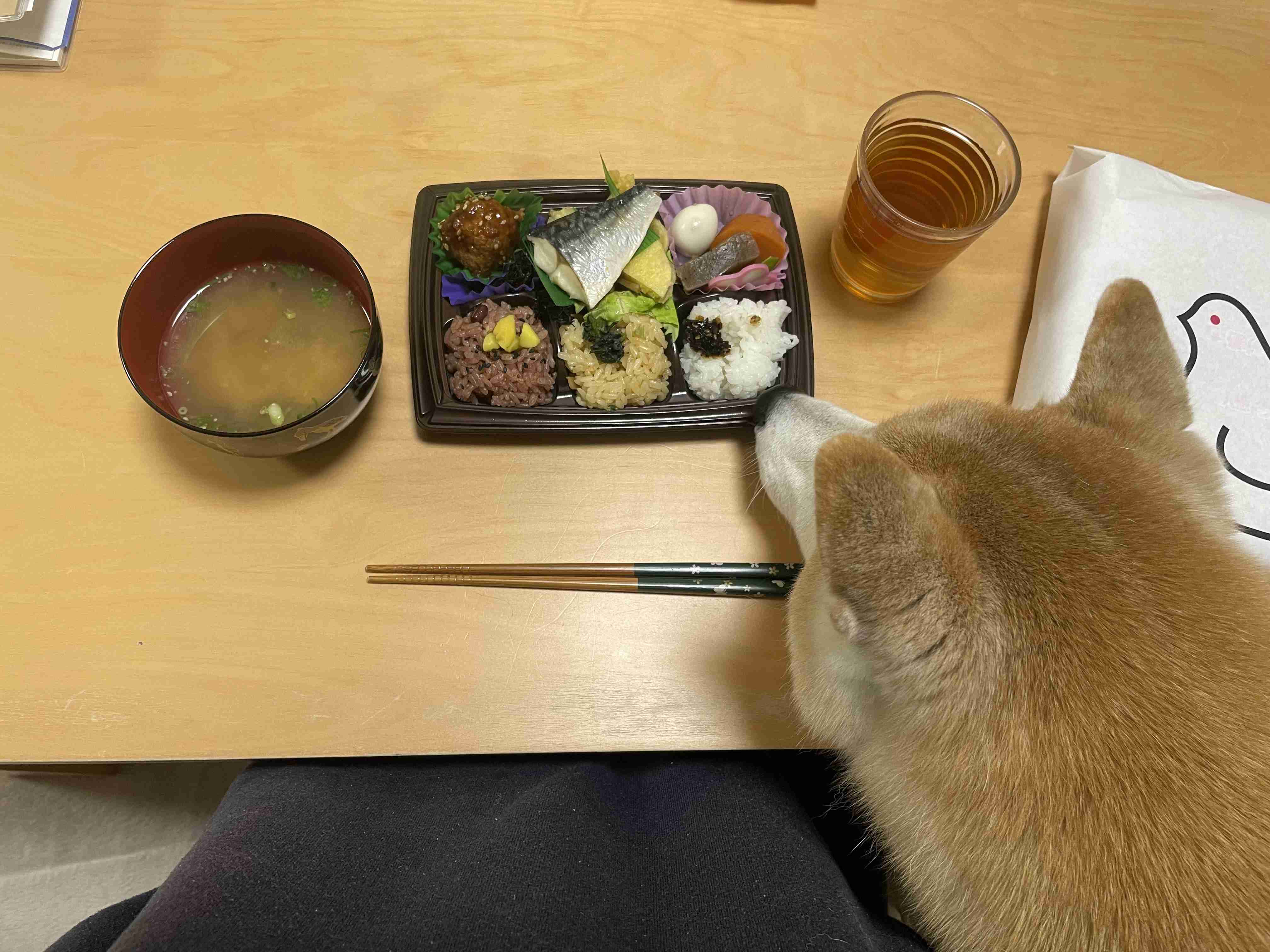 年末年始の我が家の情景を貼るトピpart2