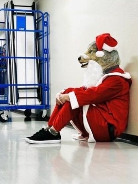色んな芸能人のサンタコスプレが見たい