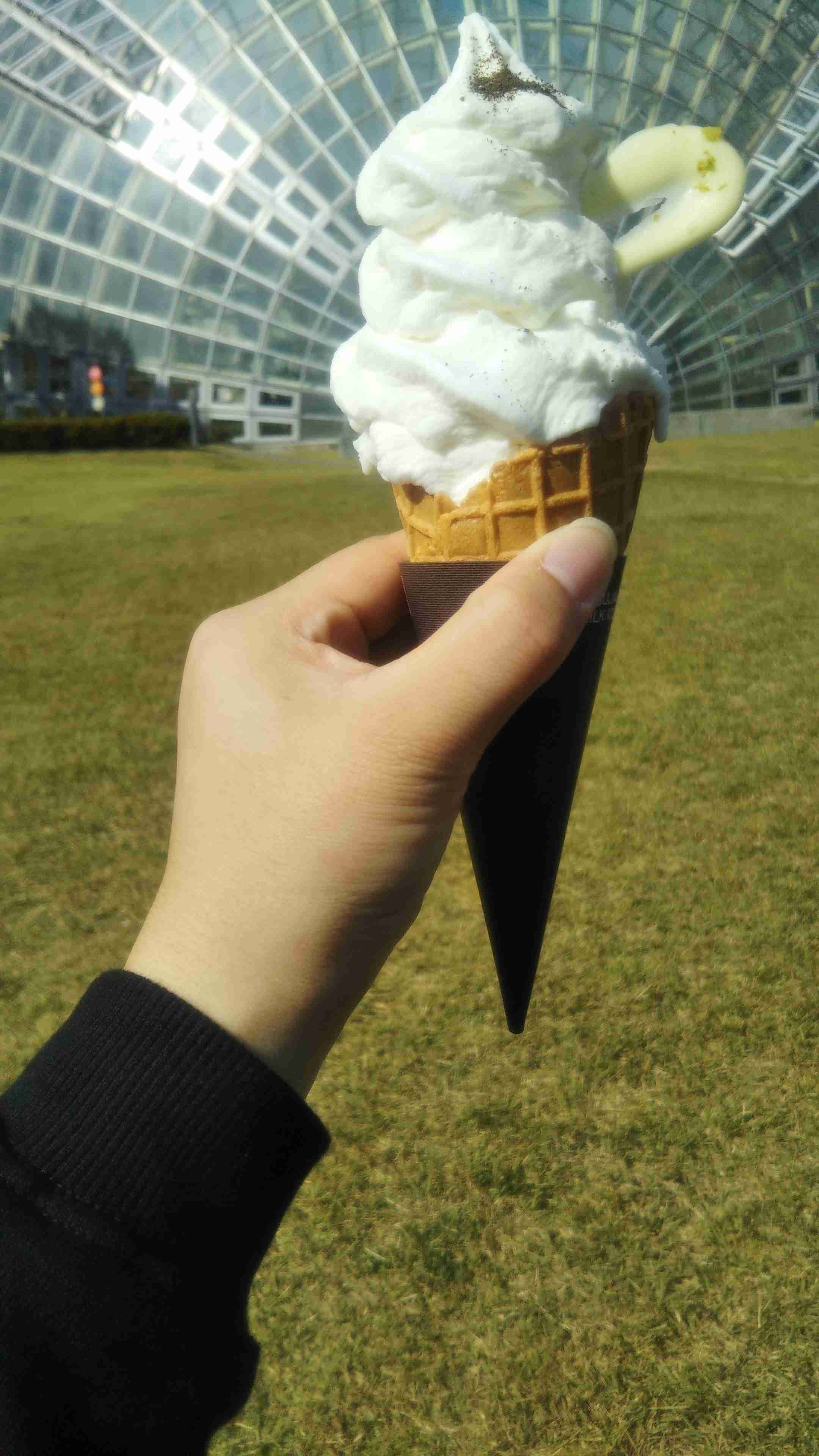 スマホで撮ったソフトクリーム・アイスクリームの画像が見たい