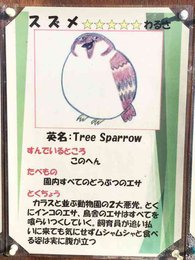 推しと担当の違い