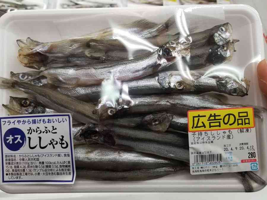 「女は子供を産んで初めて女になる」パワハラ問題で“渦中”の市長が初めて話す市職員の女性に発言していたことが明らかに→謝罪会見