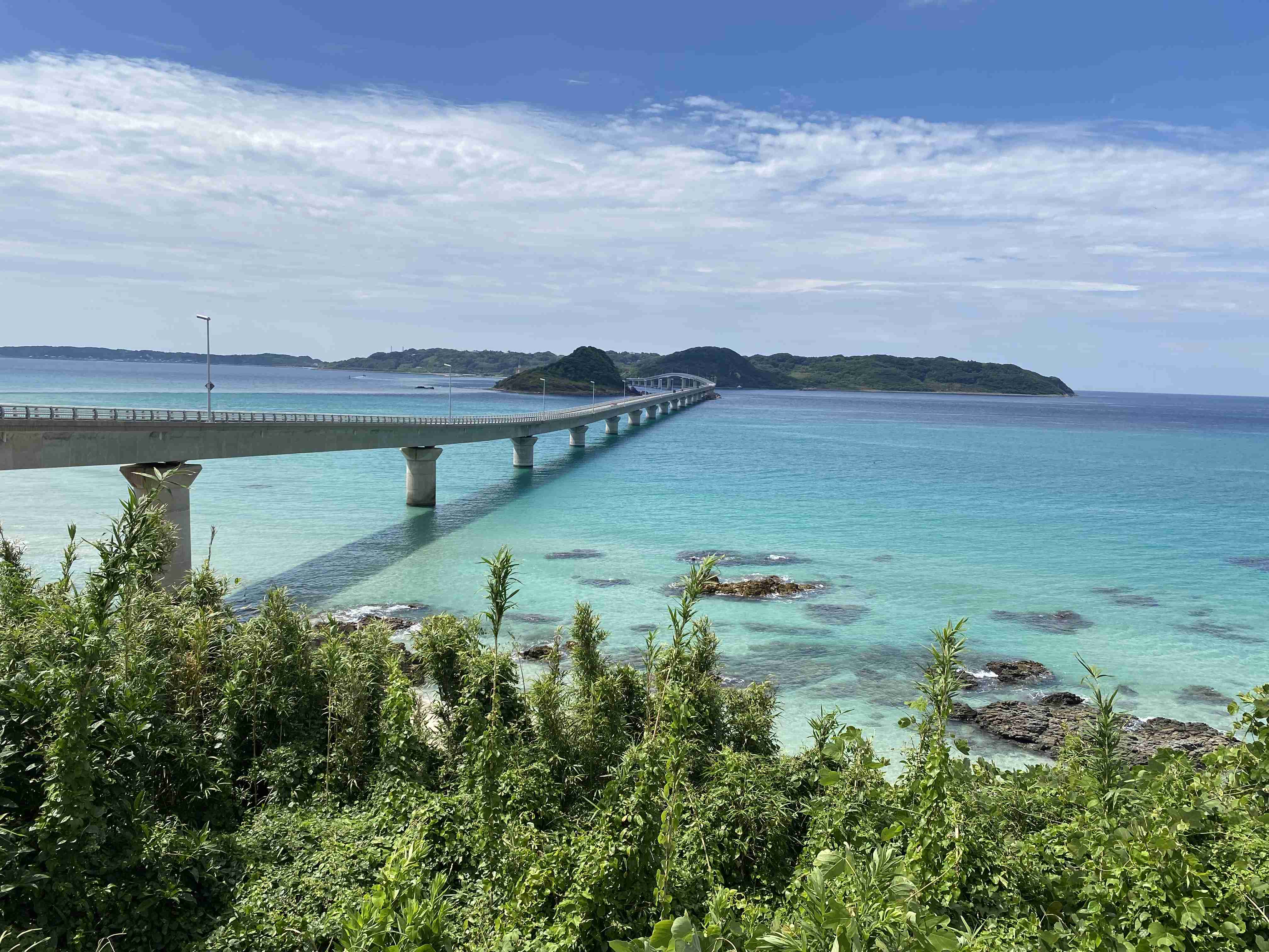 山口県について教えてください