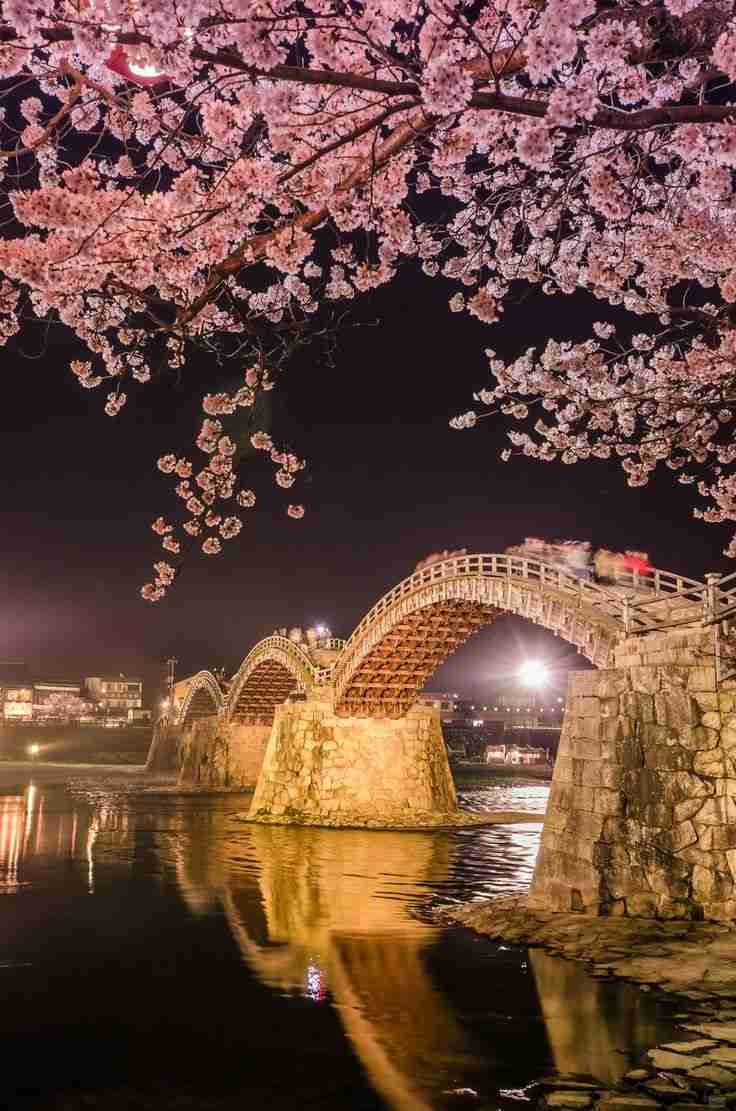 山口県について教えてください