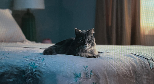 人物が映ってない画像で映画のタイトルを当てるトピ Part2