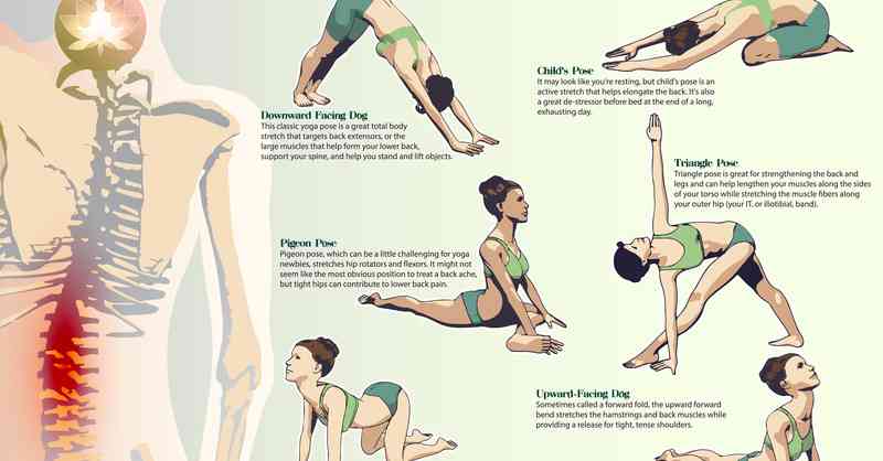 あなたの腰痛予防を教えて