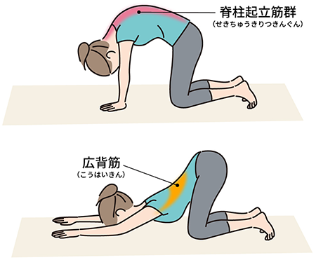 あなたの腰痛予防を教えて