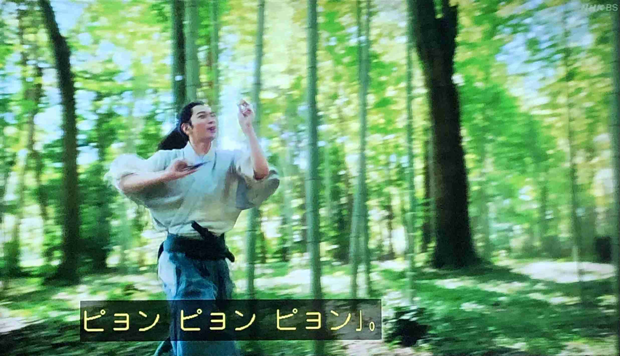 【実況・感想】どうする家康（48）神の君へ 最終回