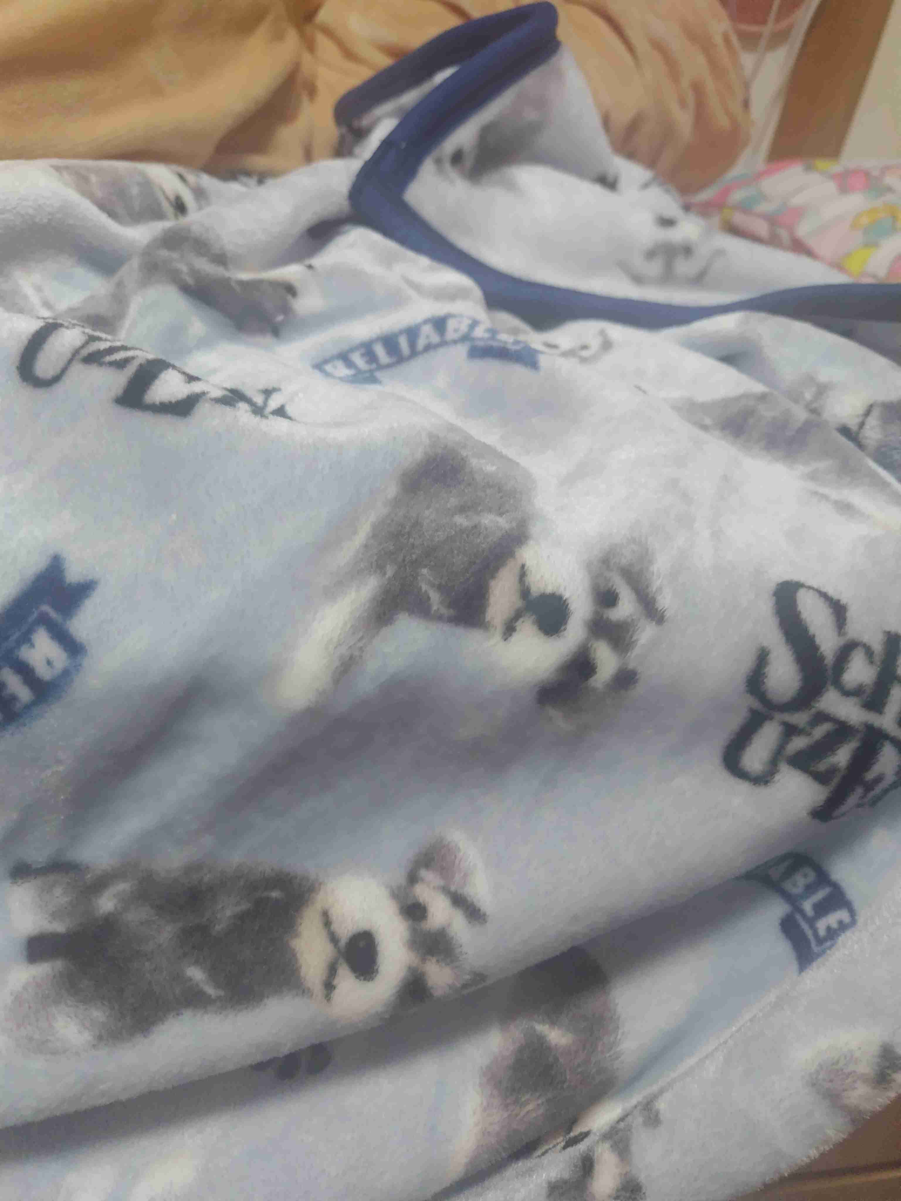 色んな毛布が見たい