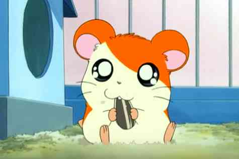 子供の頃見てた懐かしいアニメの画像を貼るトピ