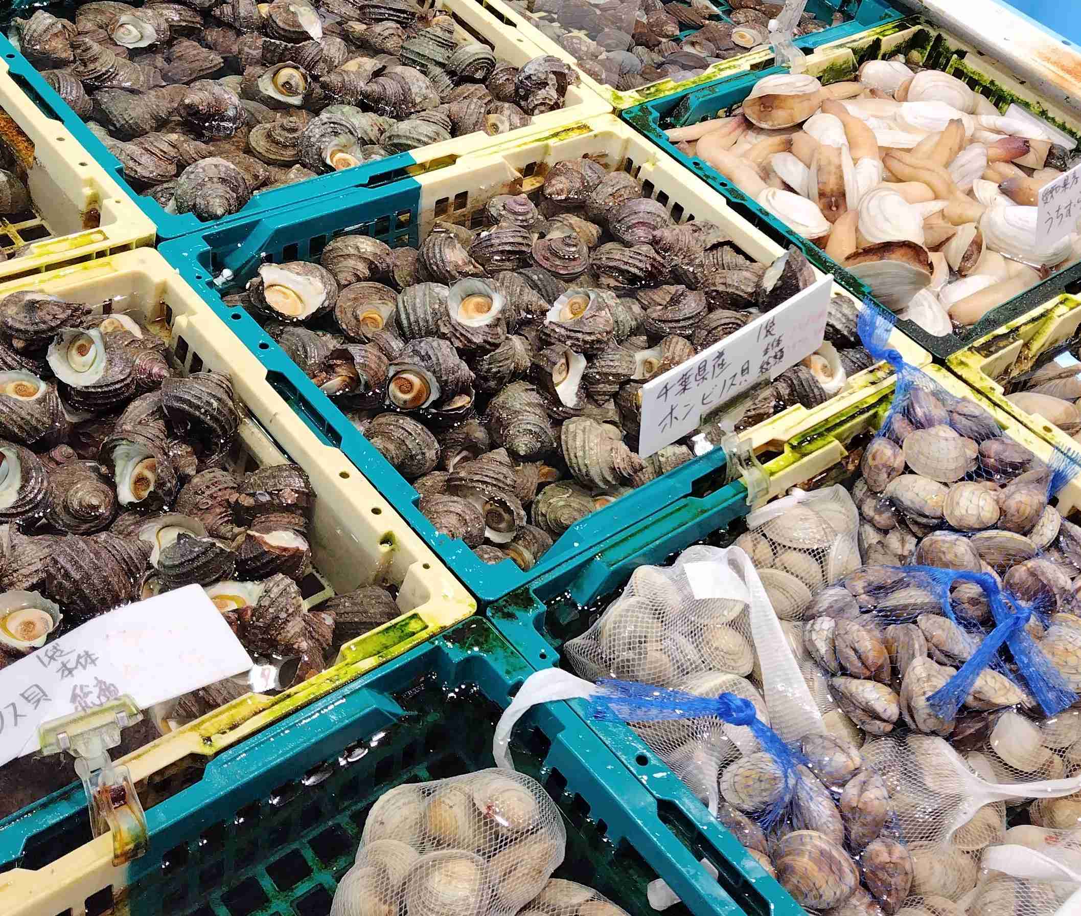 今日頑張ることを宣言する