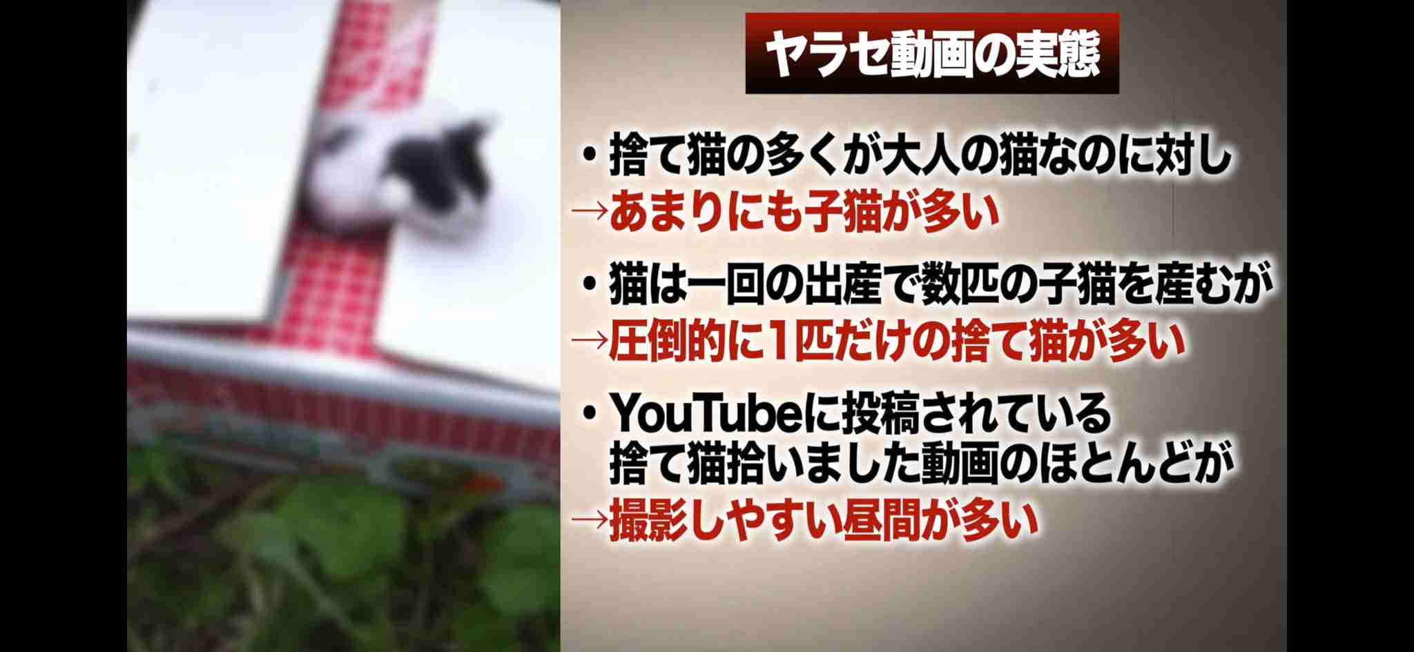 再生回数100万回行きそうな動画のタイトルは？