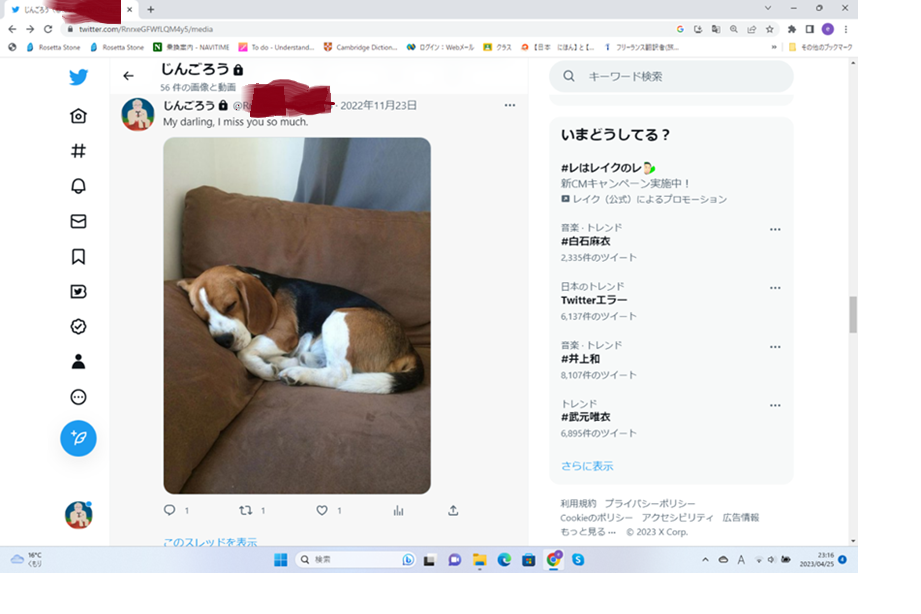 酒井若菜が30代で「まつげエクステ」をやめた理由 「自分の加齢を見せていけるようにならなきゃと思った」