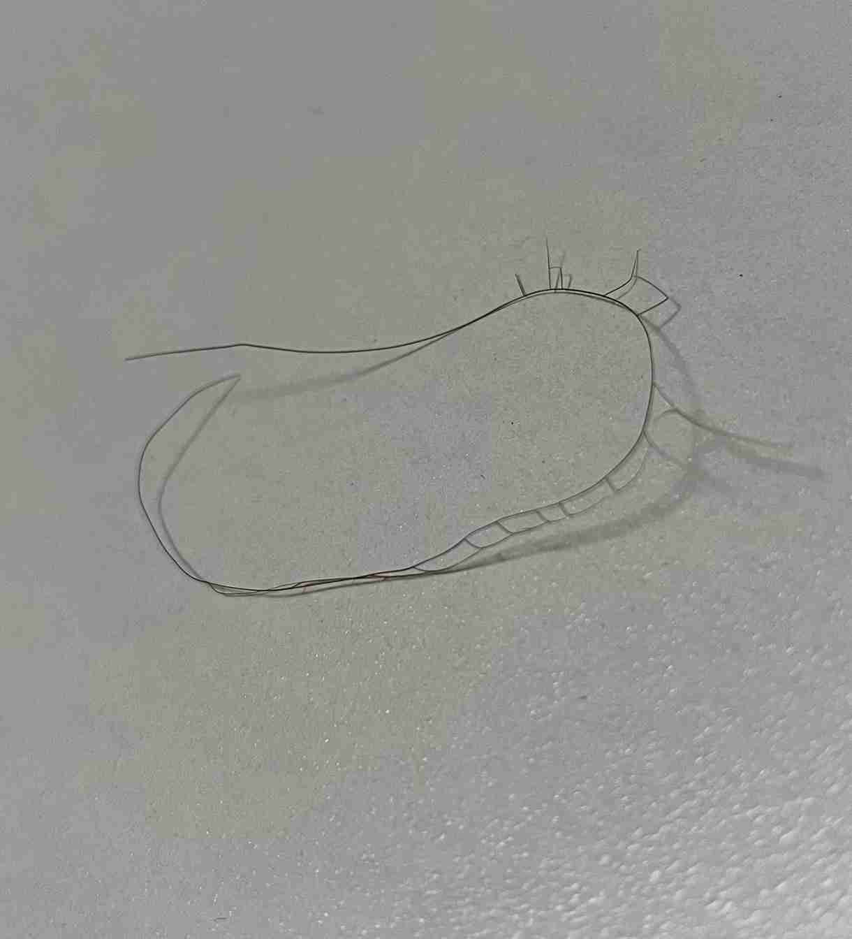 皆さんの枝毛見せてください