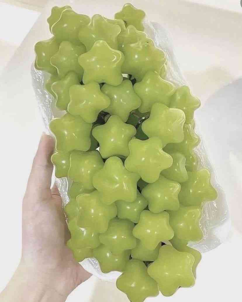 珍しいと思った画像トピ