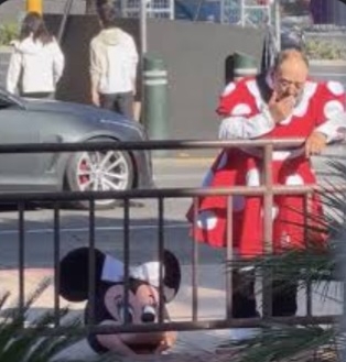 ディズニーランドの暗黙の了解教えてください