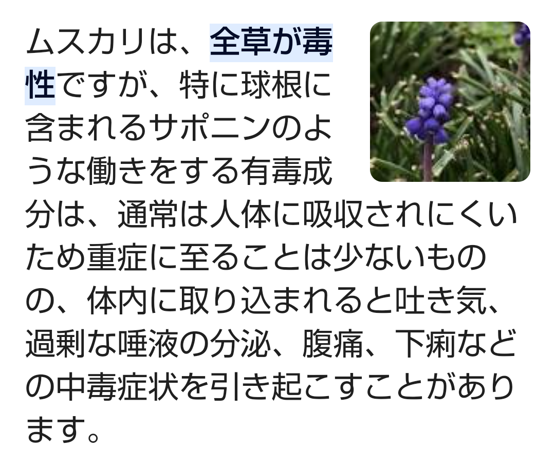 ガーデニングしてる人ならわかってくれそうなこと