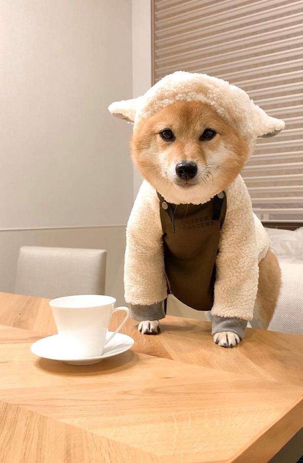 インスタントコーヒーしかないんですがカフェオレおいしく作りたい