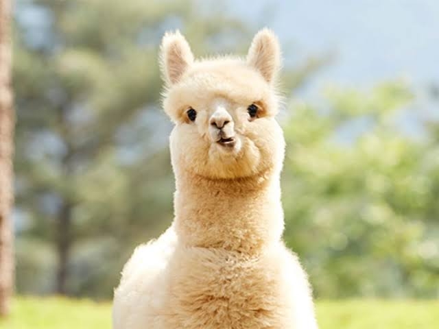 吉田羊　「飲み友達でした」と過去形で紹介する男性芸能人　自宅飲みする仲だったのに“疎遠”になったワケ