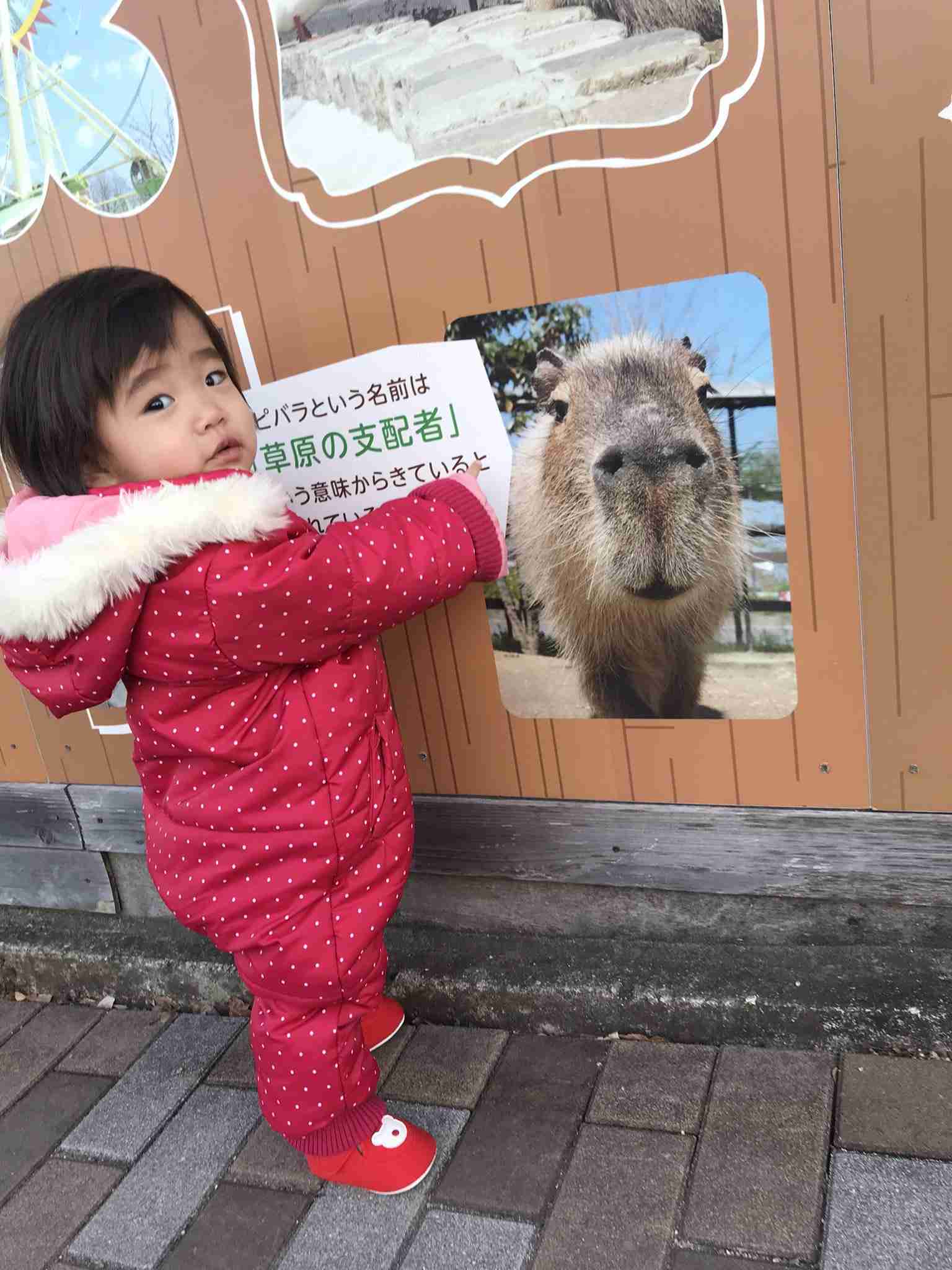 ２歳女児放置死、粘着テープで両手足を縛った行為を祖母は争う姿勢…自宅に残しUSJへ