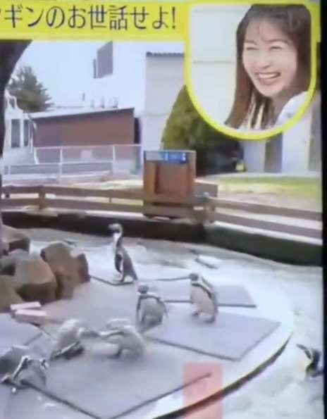 寒いと思うテレビのノリpart3