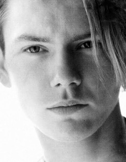 綺麗で儚げな人