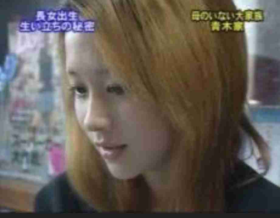 綺麗で儚げな人