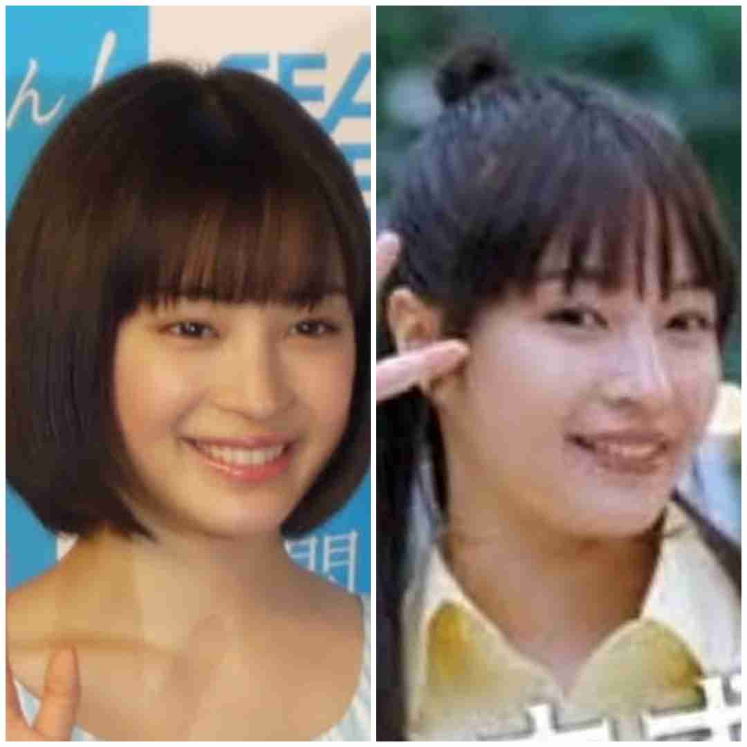 綺麗で儚げな人