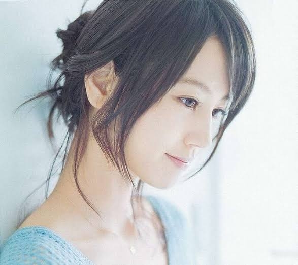 綺麗で儚げな人