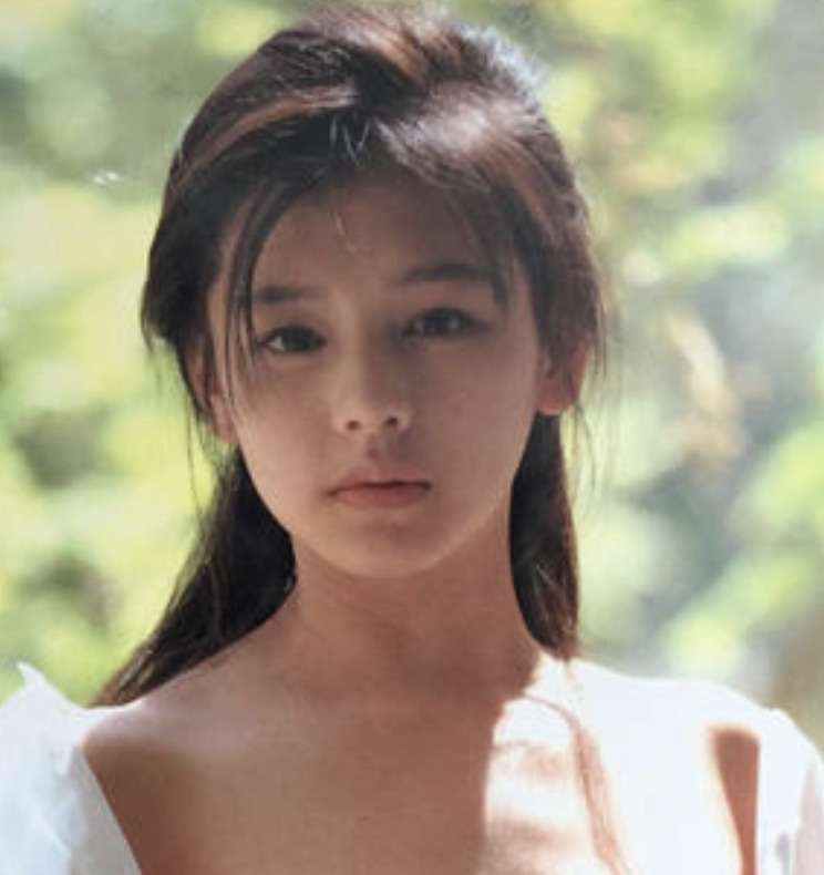 綺麗で儚げな人