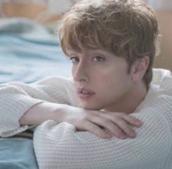 海外のスターや有名人に会ったことある人