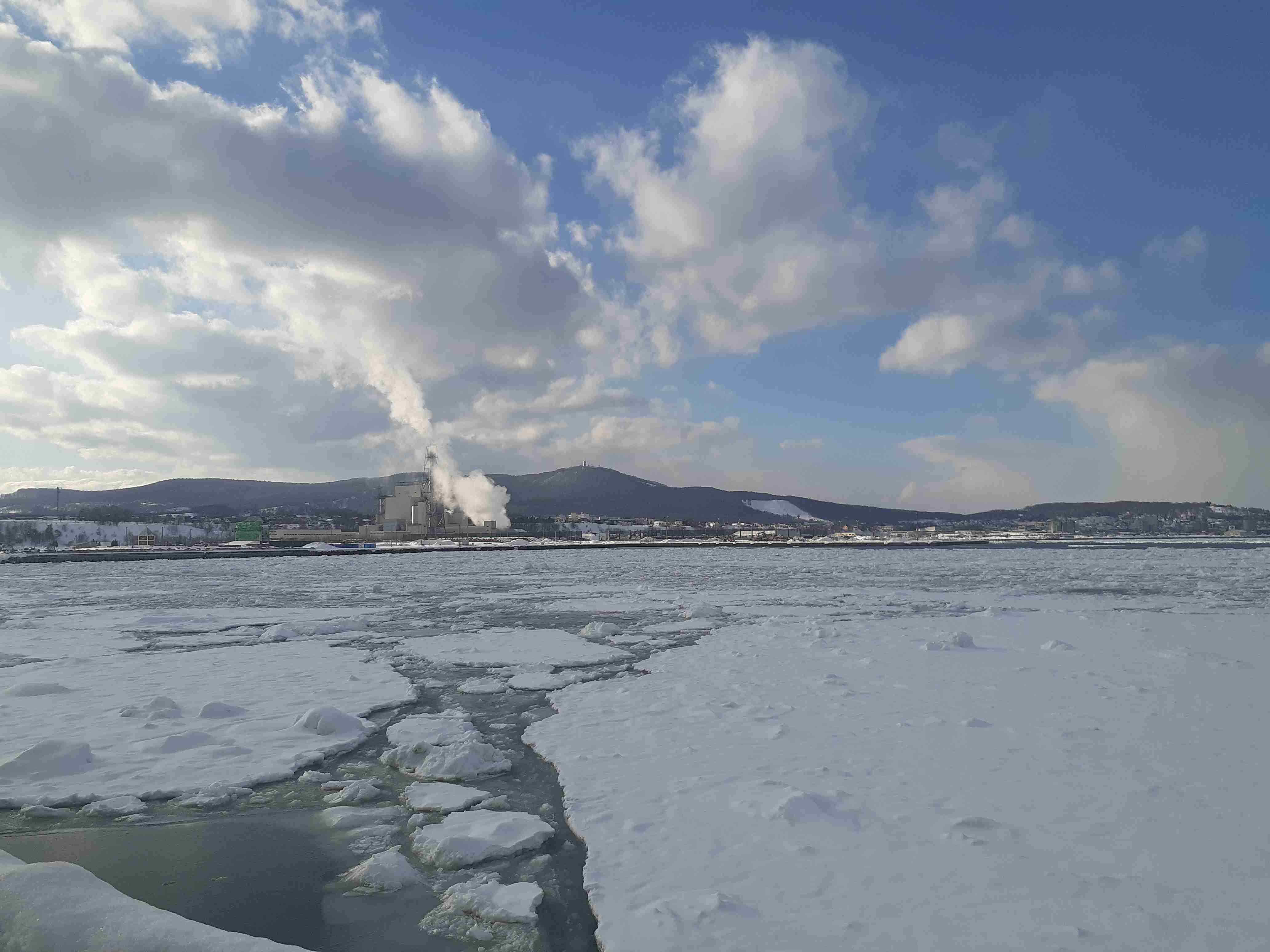 家の近所で楽しんでる季節ものPART２