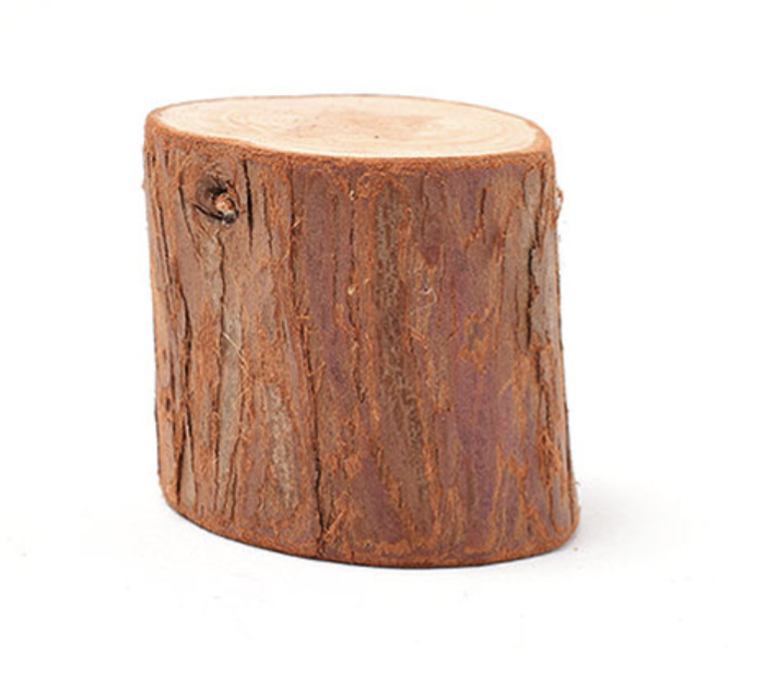 家の近所で楽しんでる季節ものPART２