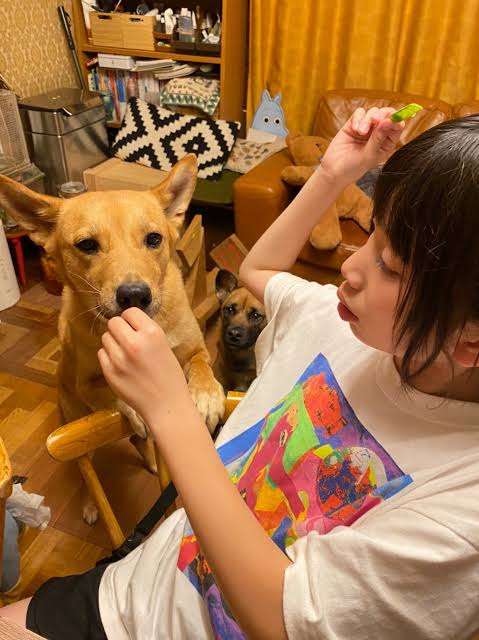 片桐仁の「スゲ～髪色」な19歳息子が「男前」と話題　「オサレさん」「爆イケ！」