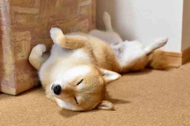 緊張に勝つには。