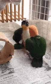 緊張に勝つには。