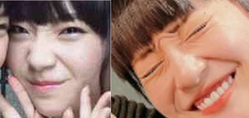 日本のアイドル教科書を作るとしたら